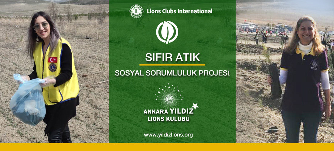 web-banner